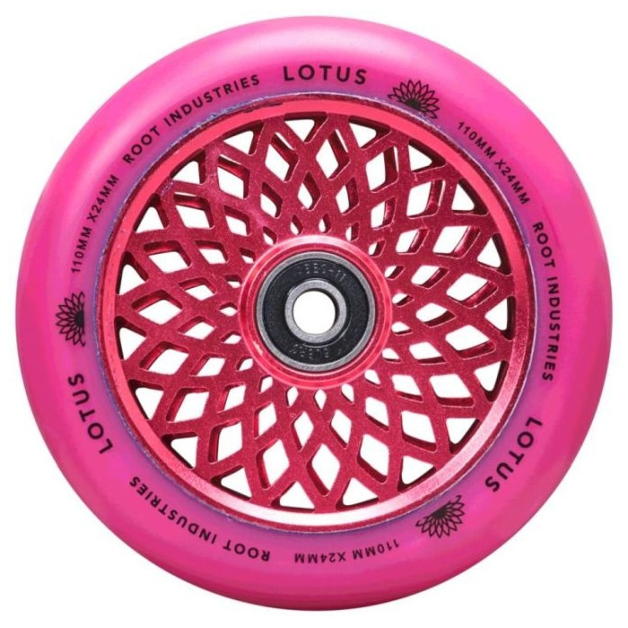 Koliesko Root Lotus 110 Radiant Pink