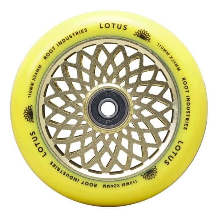 Koliesko Root Lotus 110 Radiant Yellow